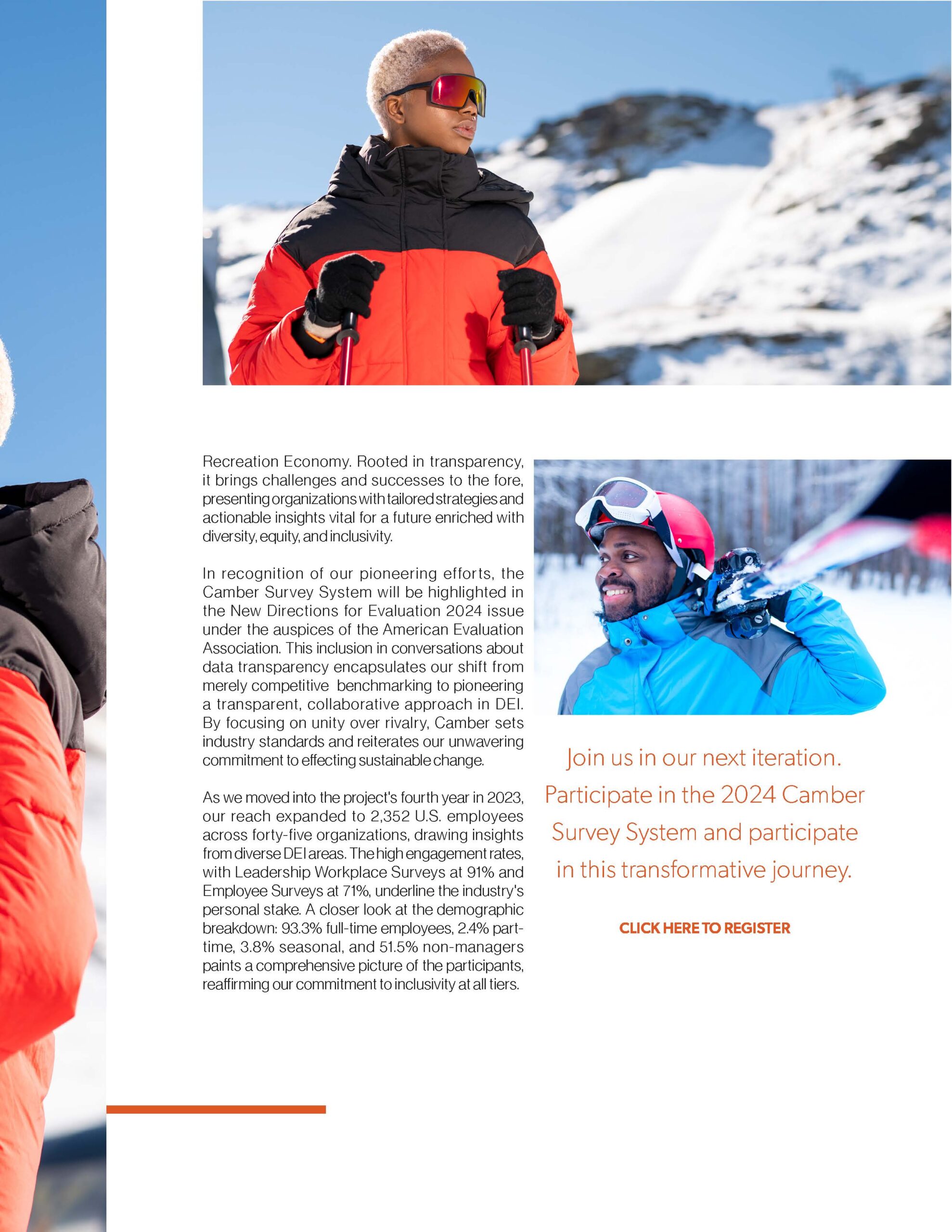 Camber report findings page